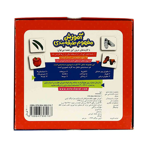 Classification Concept Training - Flash Card