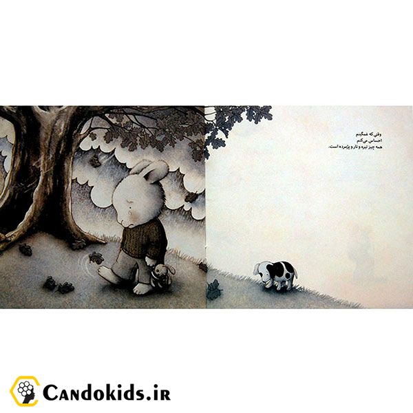 کتاب داستان خرگوش کوچولوی غمگین
